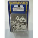 WARMASTER CABALLEROS GUARDIANES ALTOS ELFOS