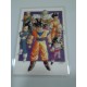 DRAGON BALL RAMI CARD Nº 48