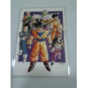 DRAGON BALL RAMI CARD Nº 48