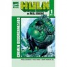 HULK DE PAUL JENKINS 01 